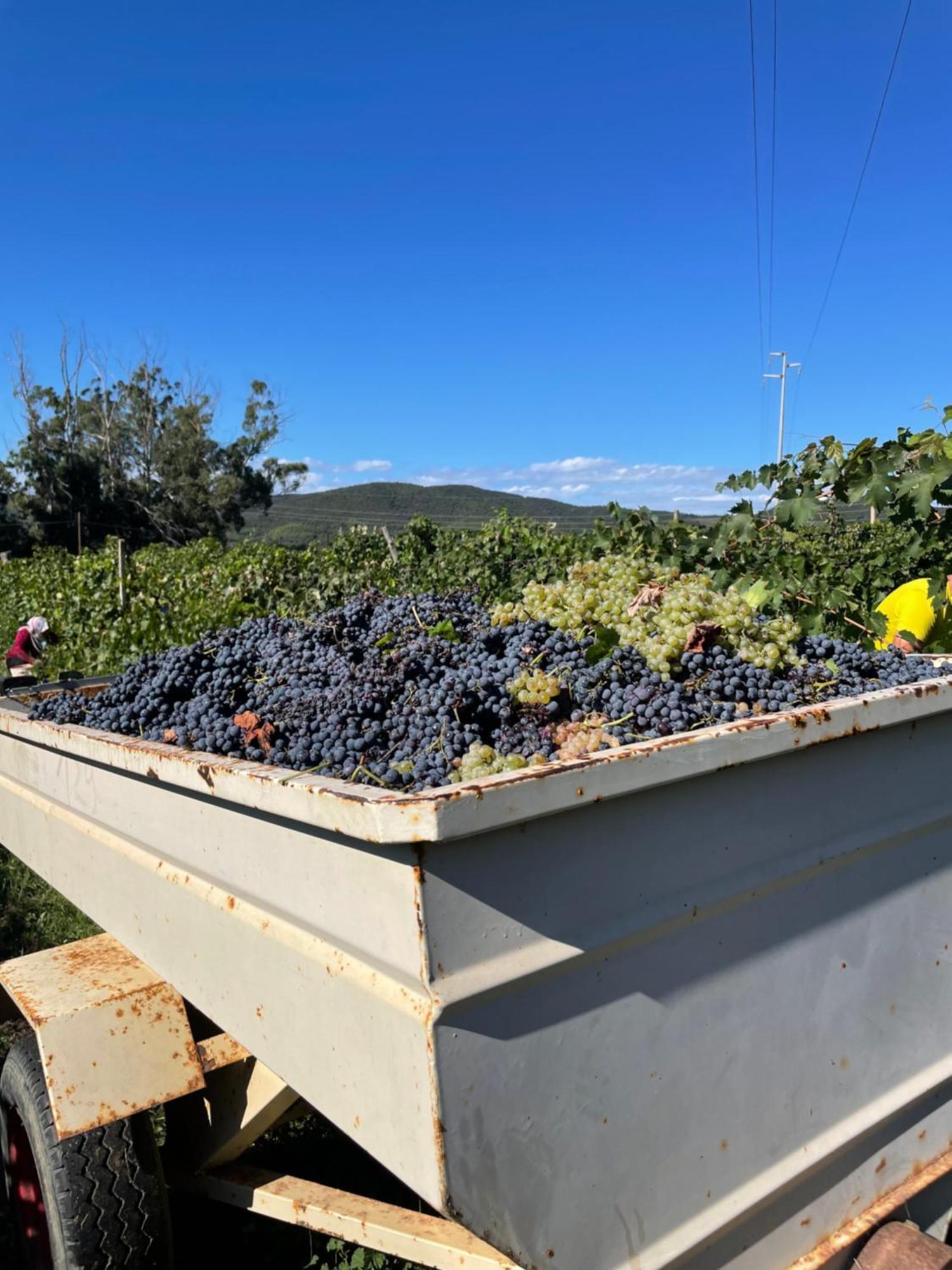 Agriturismo Podere Valdo 加沃拉诺 外观 照片