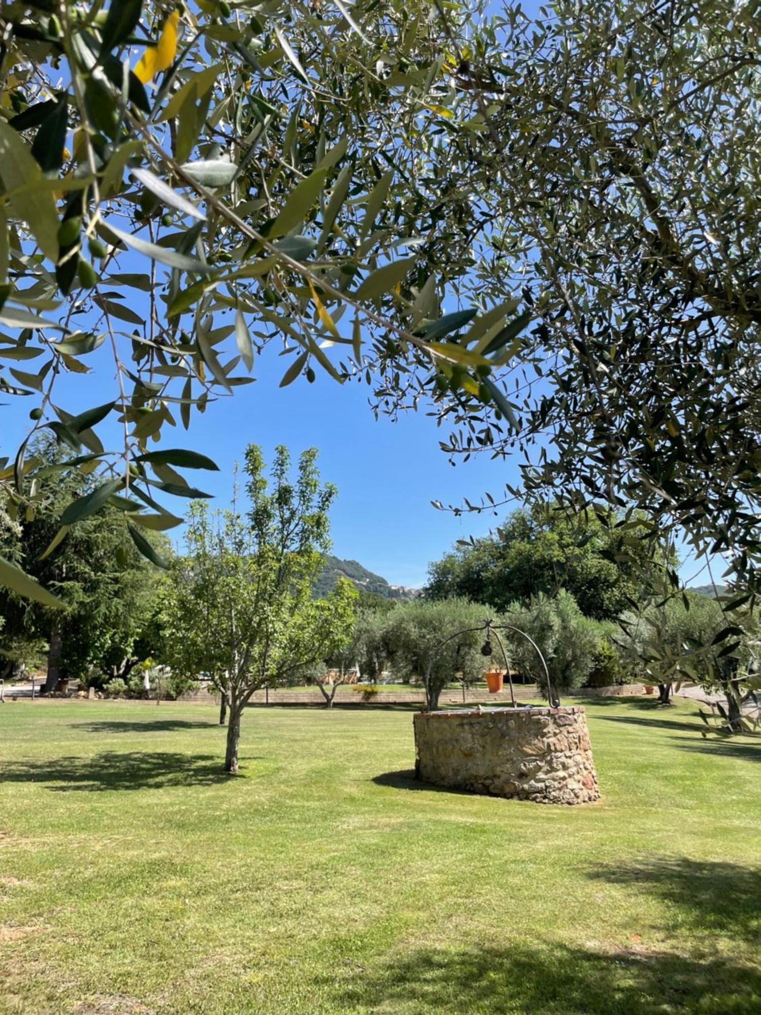 Agriturismo Podere Valdo 加沃拉诺 外观 照片