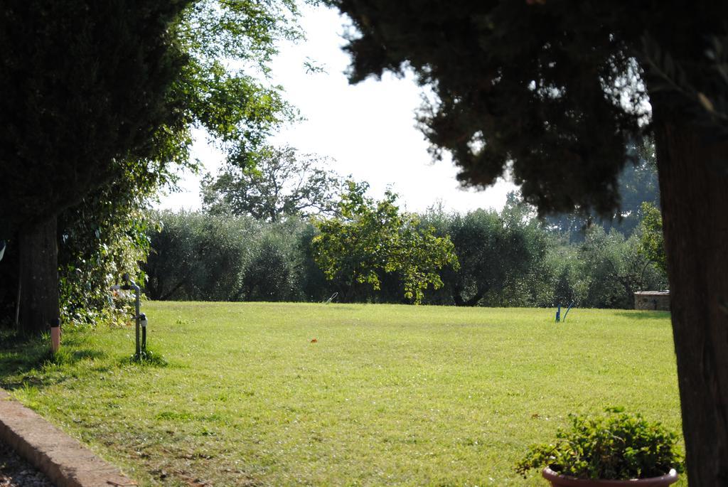 Agriturismo Podere Valdo 加沃拉诺 外观 照片